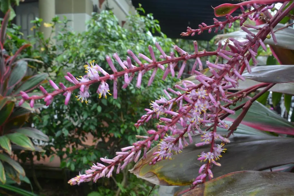 Hoi An Botanic Garden Villas הוי אן