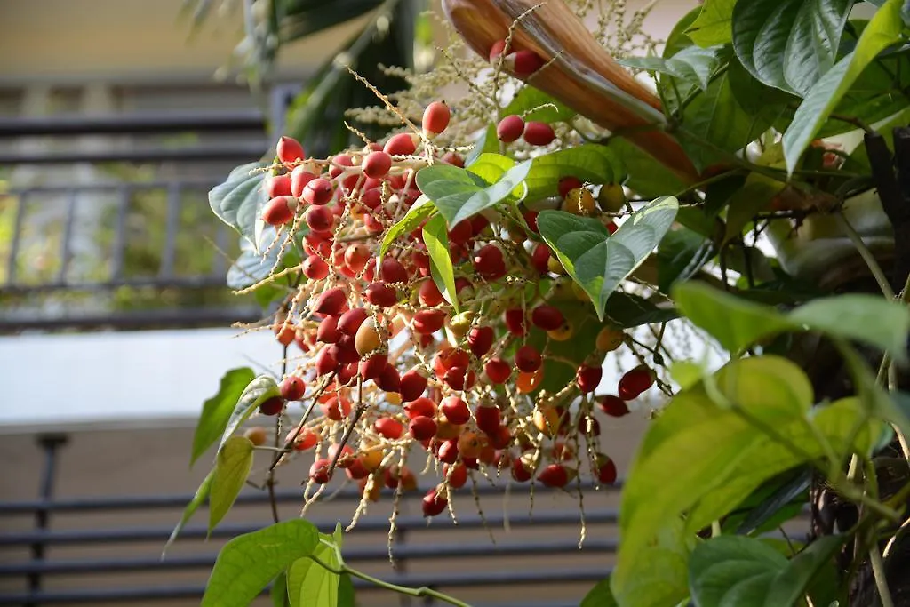 Hoi An Botanic Garden Villas בית אירוח