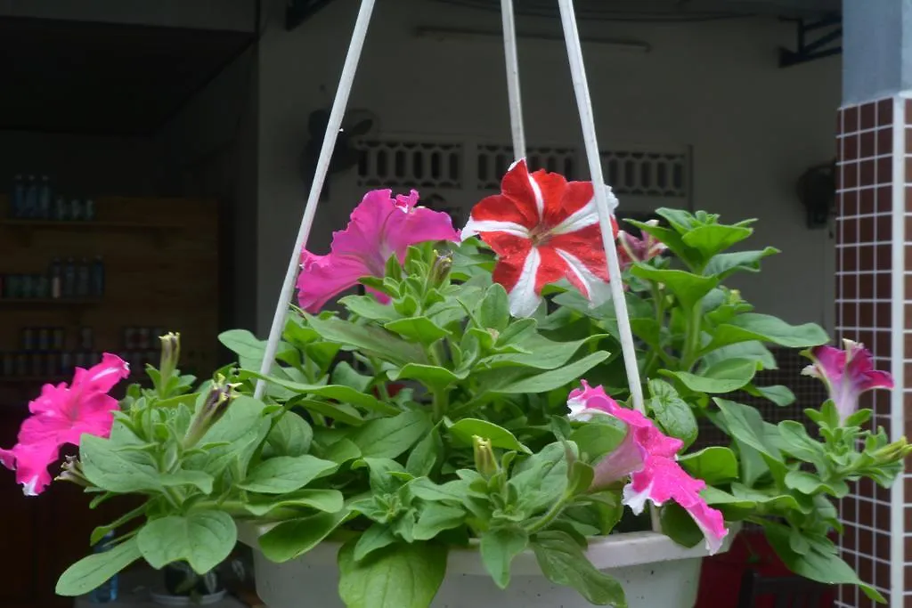 Hoi An Botanic Garden Villas Проживание в семье Хойан
