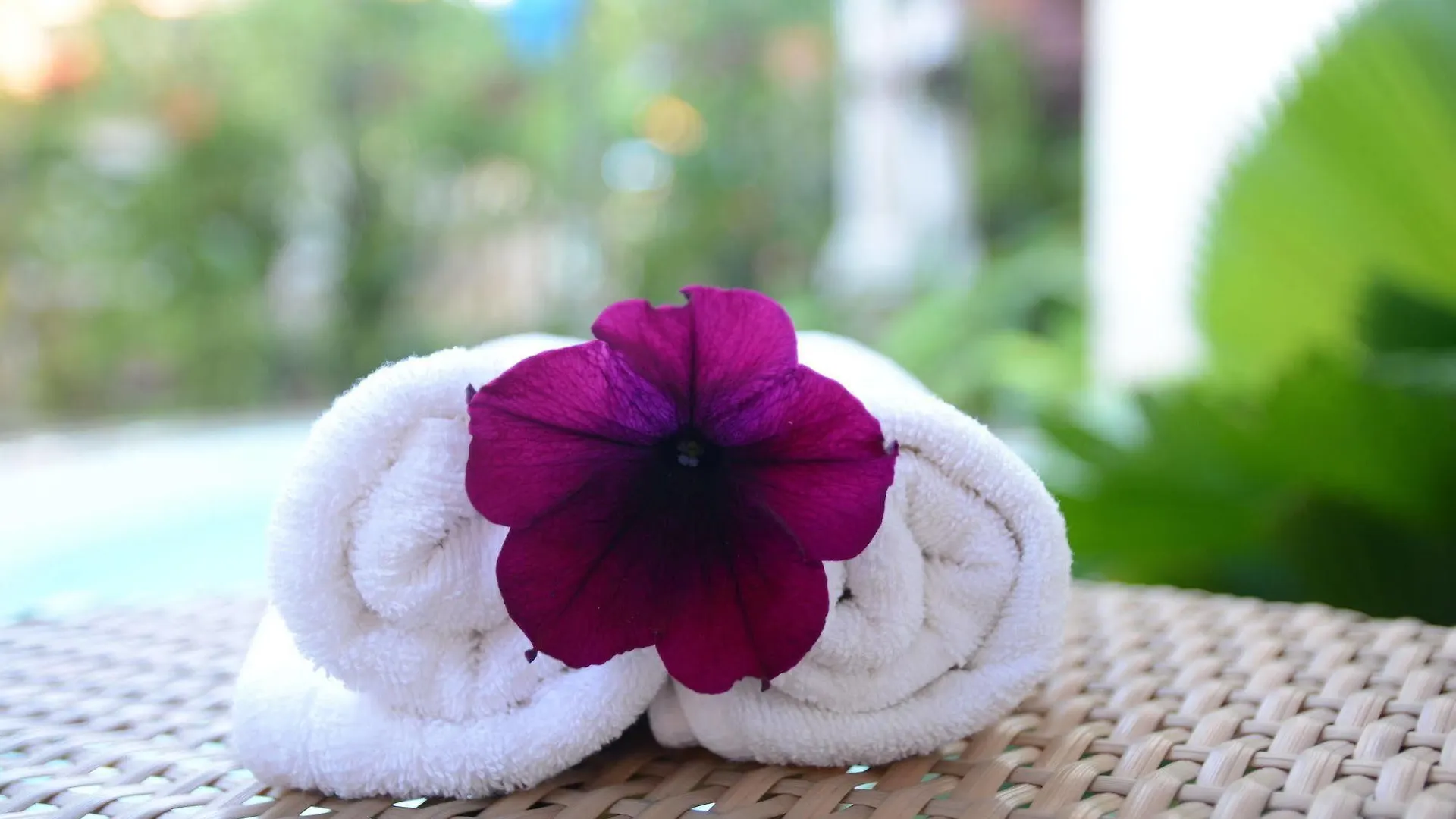Hoi An Botanic Garden Villas 0*, Хойан